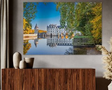 kasteel van Chenonceau – Het kasteel over de rivier de Cher van Antwan Janssen