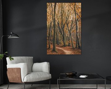 Speulderbos [Gouden Herfstmiddag I] van rosstek ®