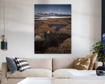 Valdresflye view by Caatje Clicks