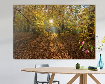 Sun through autumn leaves with mist by Remco Van Daalen