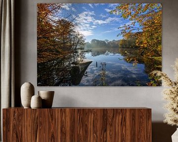 quiet autumn shot in the Horsten Estate by Remco Van Daalen