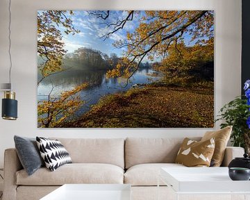 beautiful autumn colours during a misty morning by Remco Van Daalen