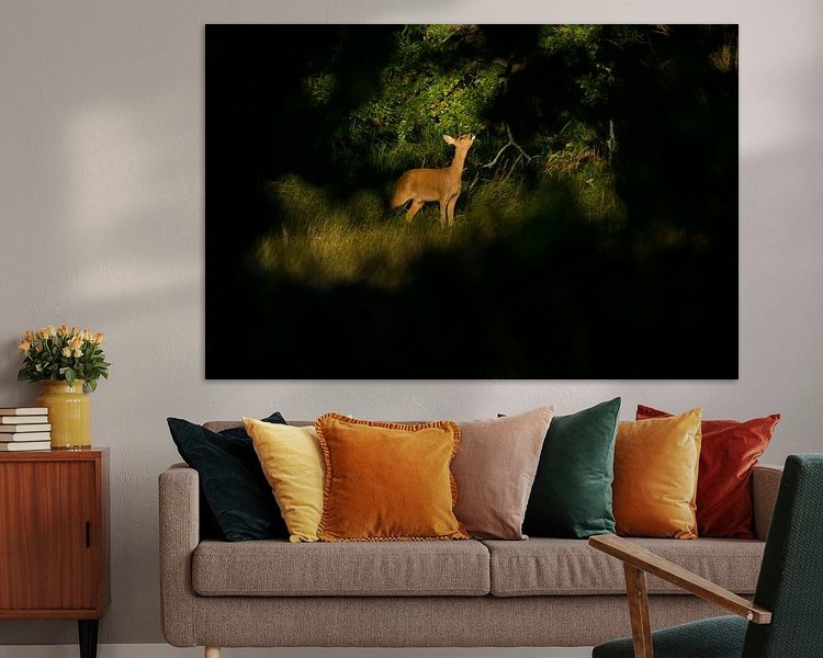 Aperçu de la chambre