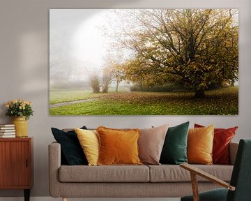 Warm autumn by Jan van der Knaap