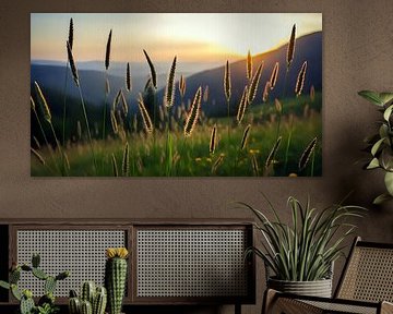 Droom van de grasspriet