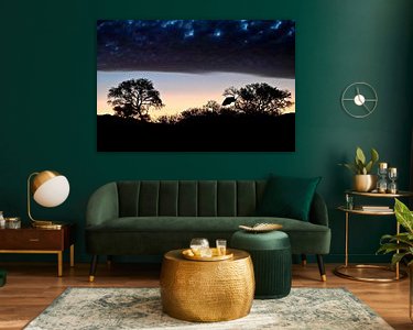 Aperçu de la chambre