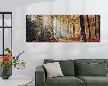 Sonnenharfen im herbstlichen Wald in Panoramalage von eric van der eijk