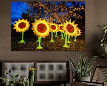 Beleuchtete Sonnenblumen von Evert Jan Luchies