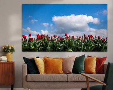 Hollands gloren van Caatje Clicks