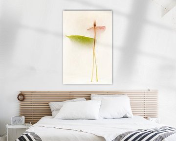 IJsherinneringen van Cobi de Jong