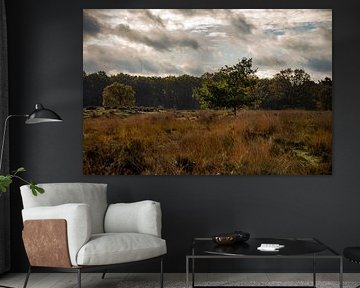 Groote Peel - 1 van Kimberly Linders