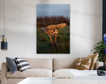 Grote Parasolzwam van Kimberly Linders