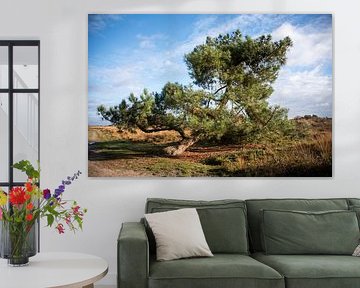 Groote Peel - 2 van Kimberly Linders