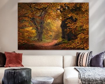 Herfst in Nederland van Antoine van de Laar