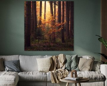 Golden tree van Antoine van de Laar