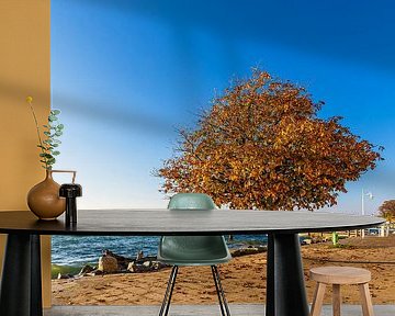 Promenade en pier in de herfst in de stad Sassnitz aan de