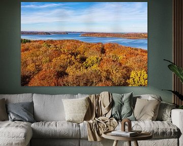 Autumnal forests and Jasmund Bodden on the island of Rügen by Rico Ködder