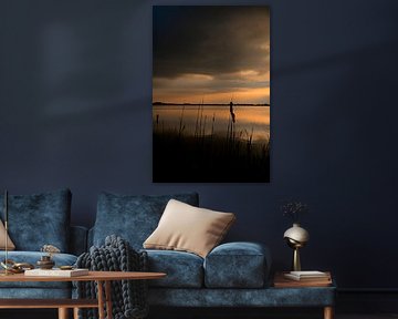 Sonnenuntergang über dem Roegwold mit Silhouette einer Lisdodde von Jurjen Melinga