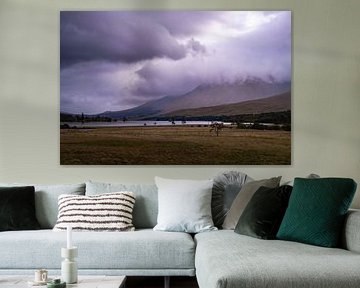 Das schottische Hochland von Willemijn Wolthaus