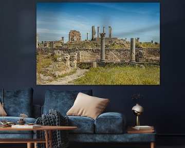 Romeinse ruines in Volubilis, Marokko van Patricia Hofmeester