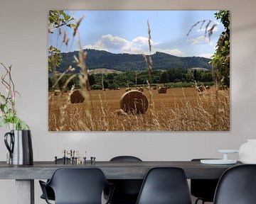 Balle ronde (balle de paille) sur un champ de céréales récolté