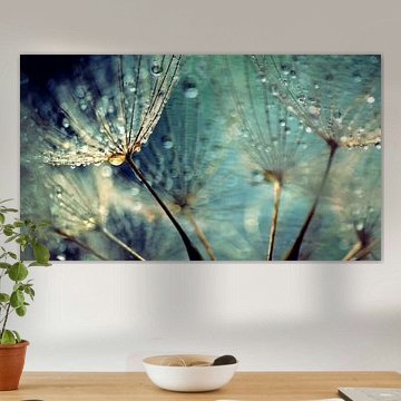 Paardenbloem van Julia Delgado