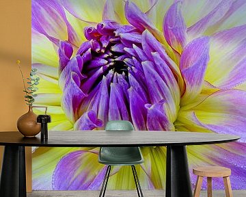 DAHLIE 2 van Miroslav Ptacek