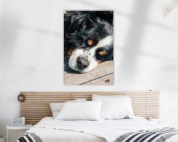 Dreamland by Jan van der Knaap