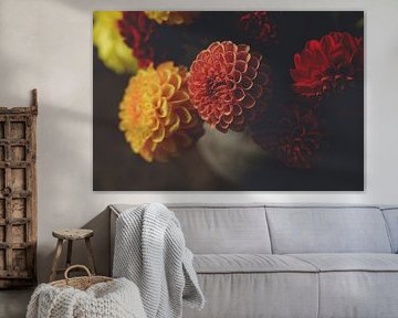 Autumn in Bloom by Lieske Alblas Fotografie