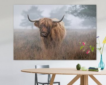 Scottish Highlander by Marieke Deinum