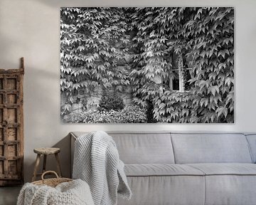 Viele Blätter und ein winzig kleines Fenster.