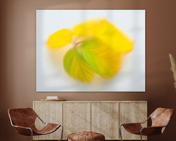 Playful autumn colours 2 by Jaap Tanis