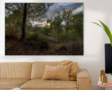 Une nature intacte au Portugal sur Edwin van Kuler Fotografie