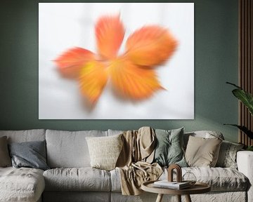 Playful autumn colours 4 by Jaap Tanis