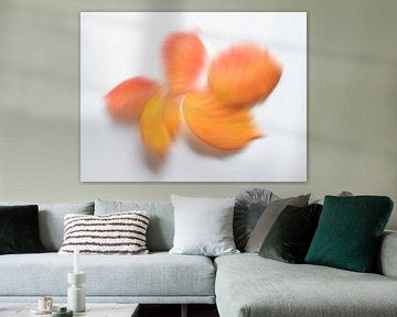 Playful autumn colours 5 by Jaap Tanis