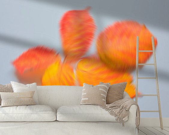 Raumvorschau