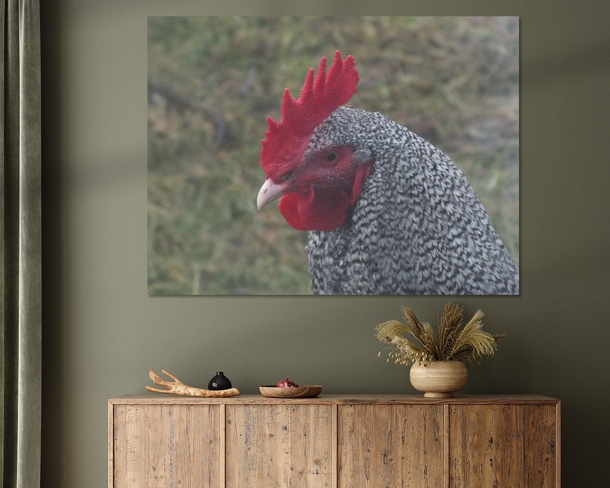 Raumvorschau