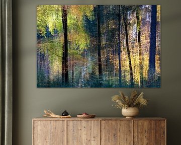 Beech trees capture sunlight in the forest by Eugene Winthagen