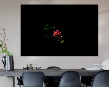 Rot-gelbe spiralförmige Ingwerpflanze von Karel Frielink