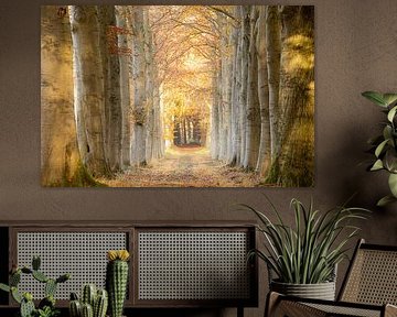 Buchenallee im Herbst von Marloes ten Brinke