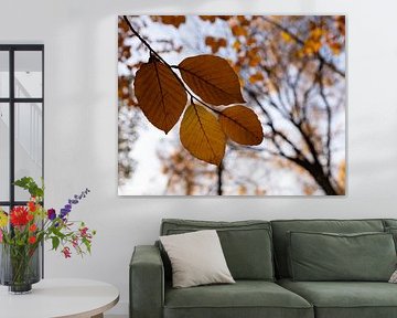 Die Farbe des Herbstes