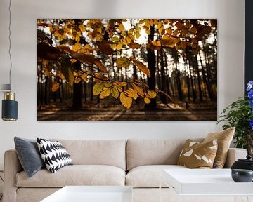 Ein sonniger Herbstmorgen im November