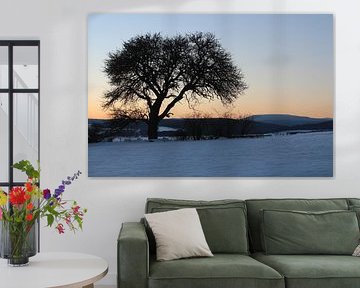 Boom in de winter met uitzicht op de Kreuzberg / Rhön