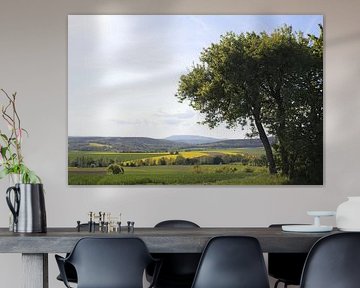 Boom in de lente met uitzicht op de Kreuzberg / Rhön