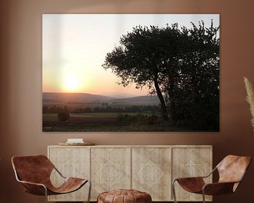 Boom in de zomer met zonsondergang in de richting van de Rhön