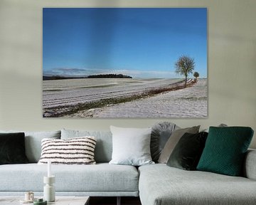 Boom met pad in de winter