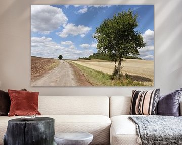 Boom met pad in de zomer