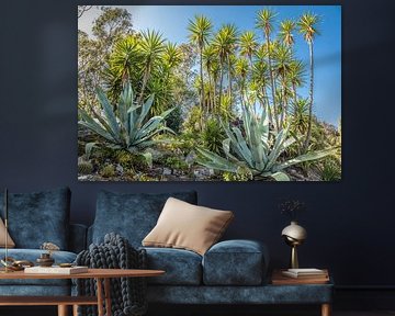 Jardin Exotique, Roscoff, Brittany by Christian Müringer