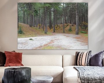 Weg durch die Dünen