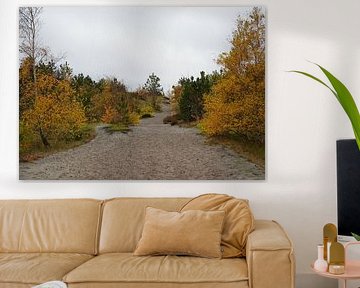 Weg durch Herbstfarben